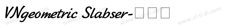 VNgeometric Slabser字体转换